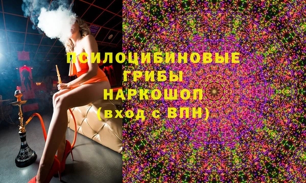 мяу мяу мука Кодинск