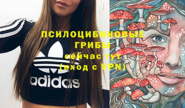 хмурый Александровское