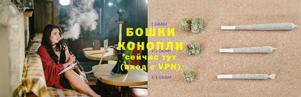 мяу мяу мука Кодинск