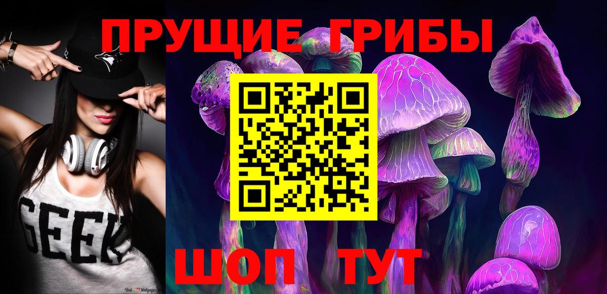 Галлюциногенные грибы Psilocybine cubensis Невинномысск