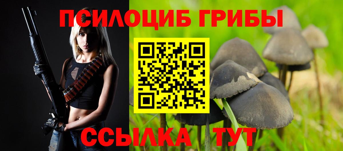 Галлюциногенные грибы прущие грибы Невинномысск