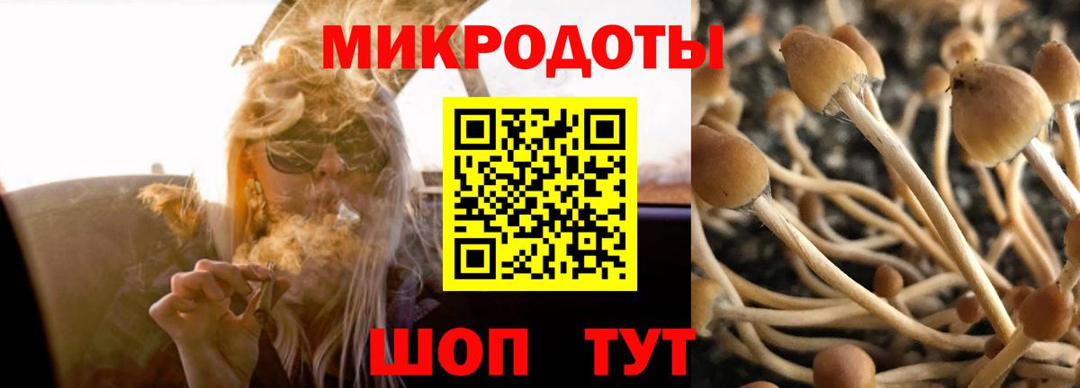 дарнет шоп  Невинномысск  Псилоцибиновые грибы Psilocybe 